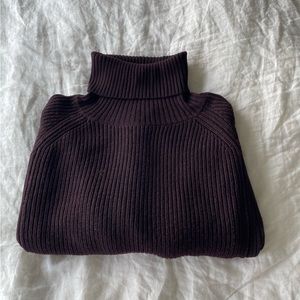 Aritzia Turtleneck Knit Sweater